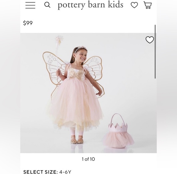 Pottery Barn Faerie Costume size 3T - Picture 3 of 9